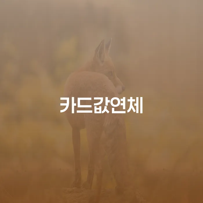 빚갚는법 빚 해결할 신청장점