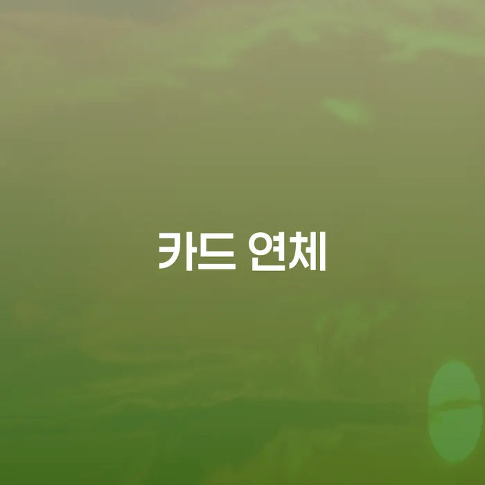 신용회복 개인회생으로 해결 있어도