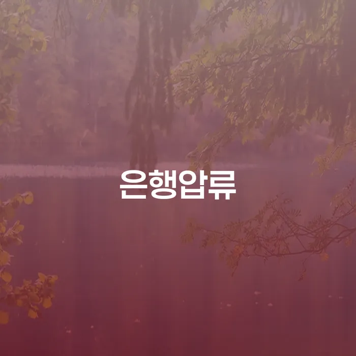 개인회생변호사 카드빚 연체 탕감을진행