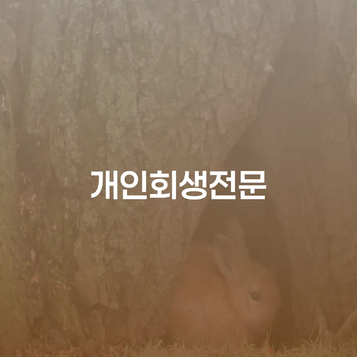 회생파산 개인회생으로 현명하게 해결 가능합니다.