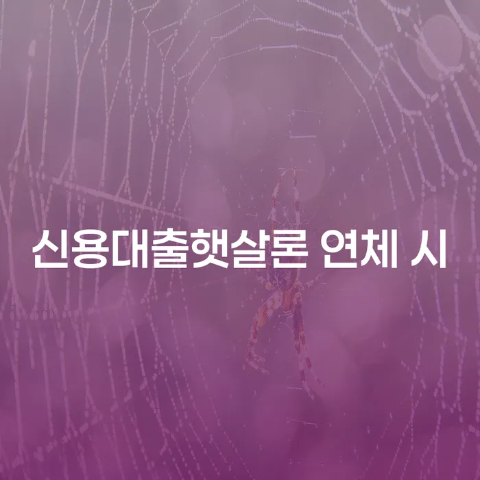 충청남도 은행대출 연체 시 채무조정제도을 이용하여 중요 포인트