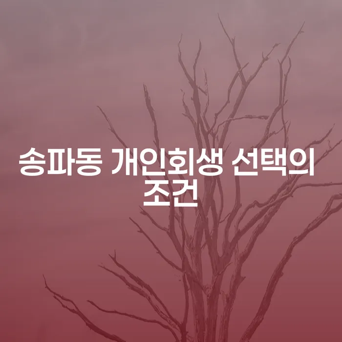 송파동 개인회생 선택의 조건