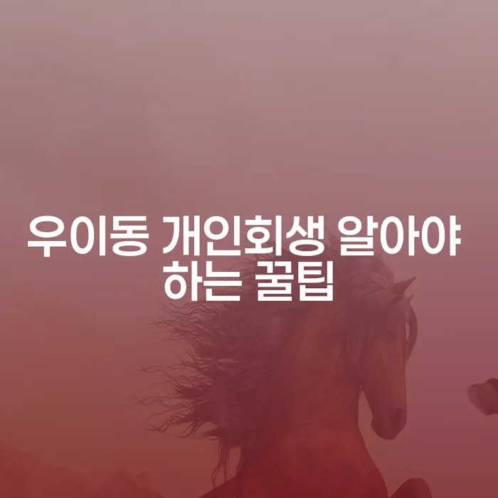 우이동 개인회생 알아야 하는 꿀팁