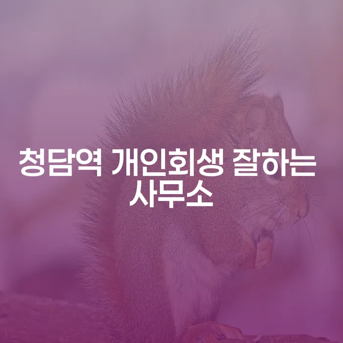 청담역 개인회생 잘하는 사무소