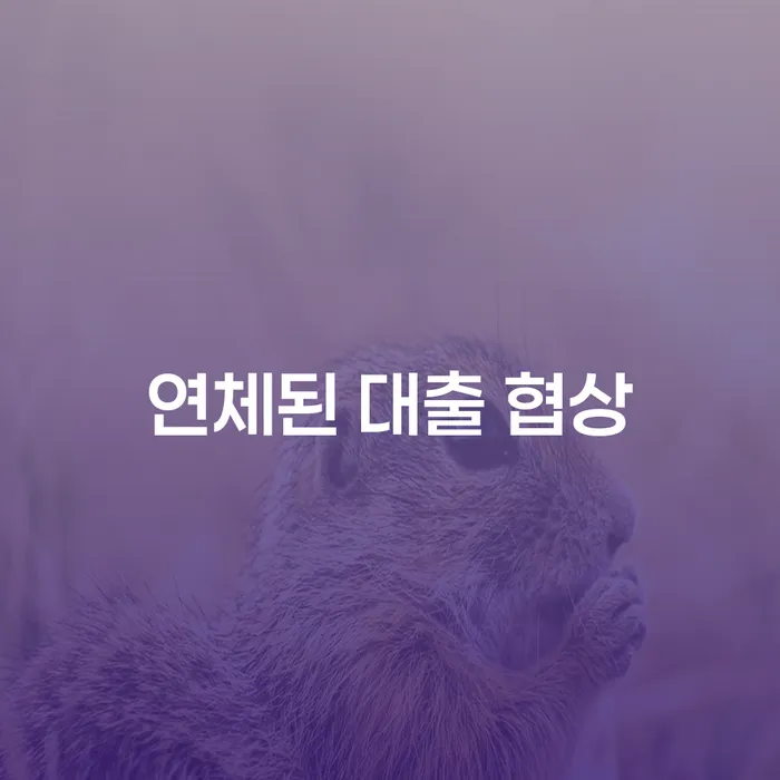 연체된 대출 협상, 어떻게 해결할 수 있을까요?
