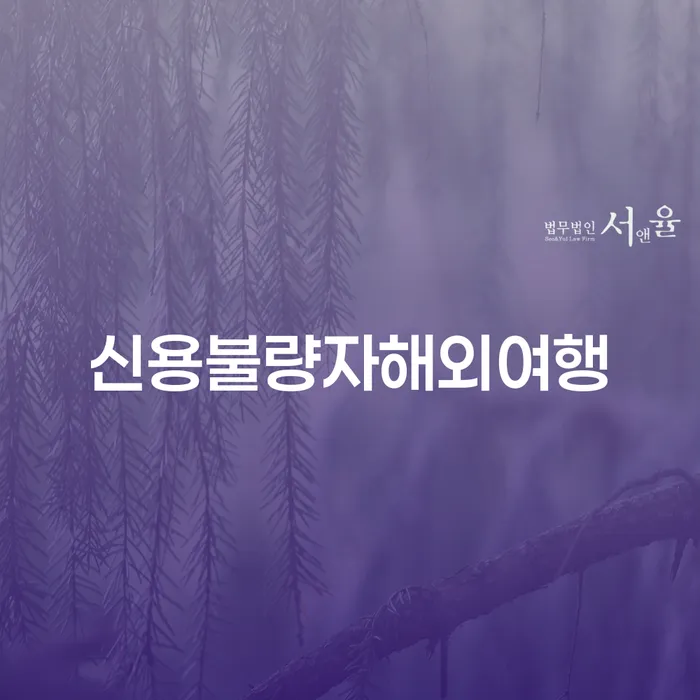신용불량자도 해외여행이 가능할까? 성주군 개인회생을 통해 해결할 수 있는 방법은?