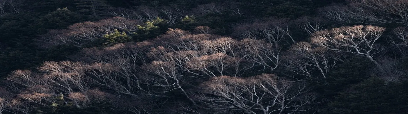 법무법인 서앤율